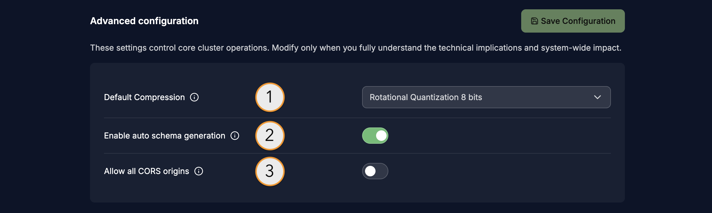Cluster advanced options